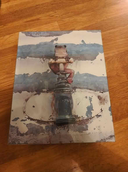 Photo of free Frog poster (Derby DE24) #1