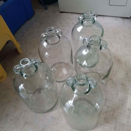 Photo of free Five 1 Gallon Demijohns for Brewing (Purbrook PO7) #1