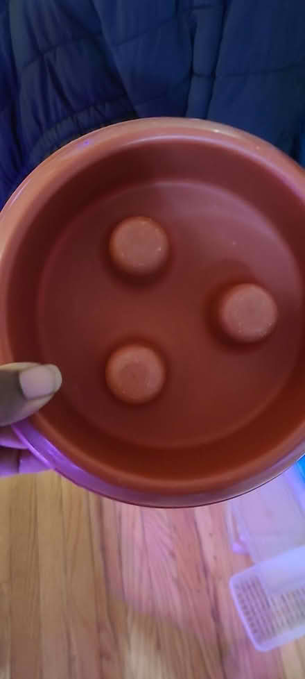 Photo of free Pet slow feeder (red) (South Evanston) #1