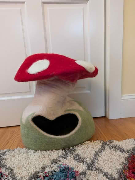 Photo of free Cat bed (North Cambridge) #1