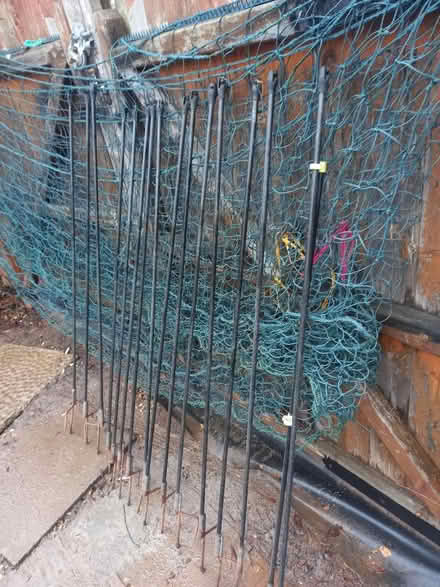 Photo of free Chicken net and poles (Shepshed LE12) #1