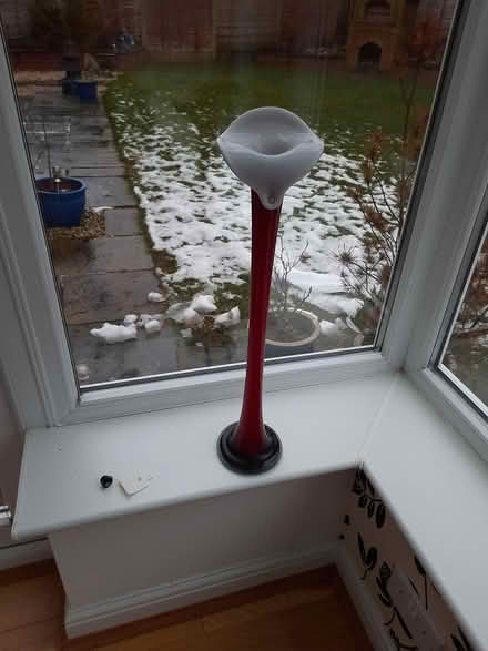 Photo of free Vase (Solihull B91) #1