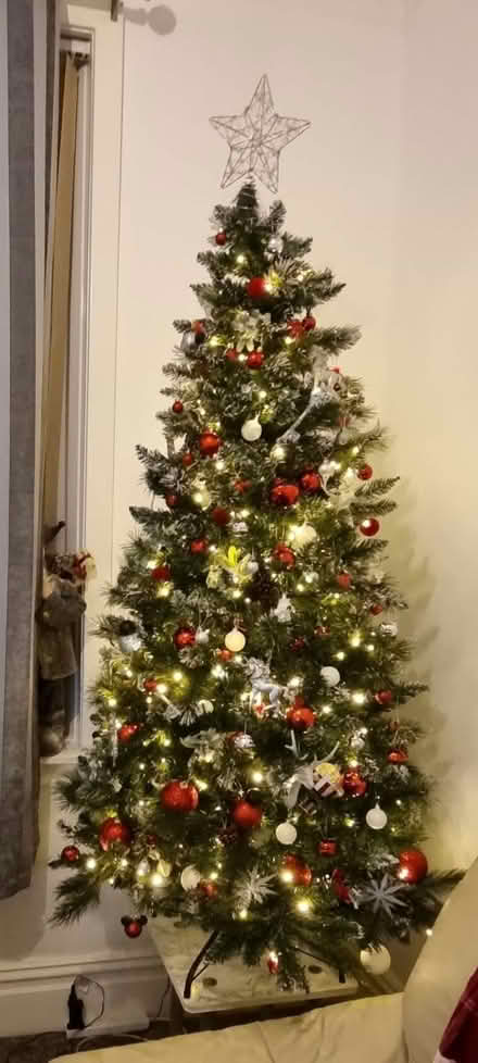 Photo of free Christmas tree (M11 clayton) #4