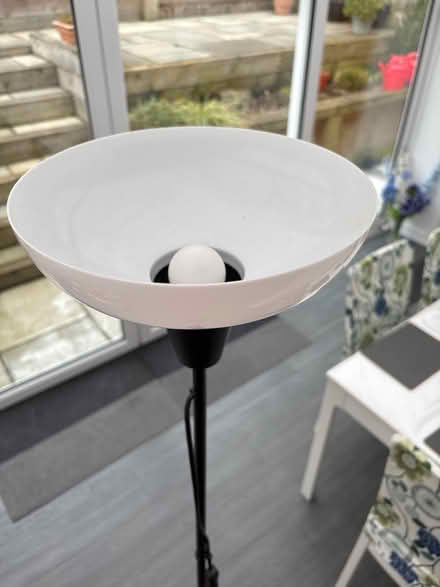 Photo of free 5’ standing light (Crowborough TN6) #2