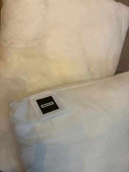 Photo of free Hollow fibre cushions (Lewes Nevill area) #2