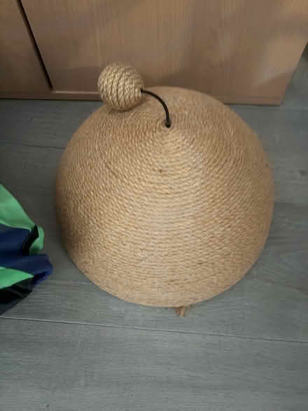 Photo of free Cat scratch toy and tunnel (Rainham ME8) #1