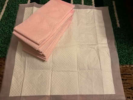 Photo of free Puppy training pads (Cupar KY15) #1