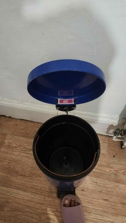 Photo of free Blue Pedal Bin - 12 l (RG1) #2
