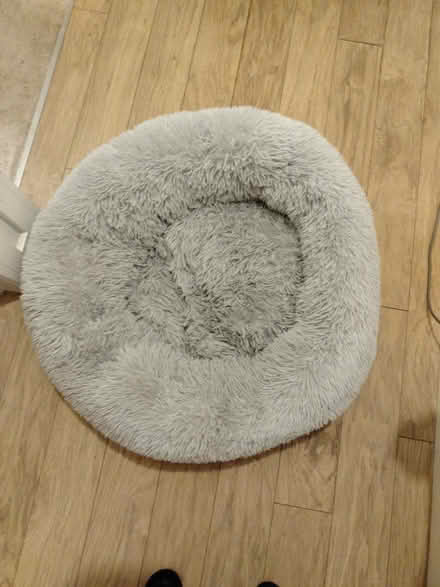 Photo of free Donut pet bed (GL51 4UR) #1