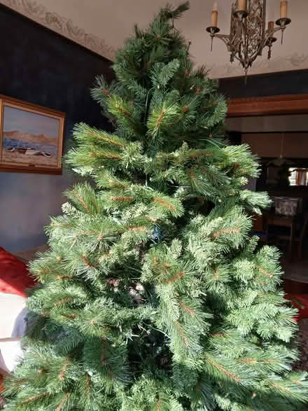 Photo of free Pre-lit tree, 7.5 ft (West End, Near Maya Lin) #2