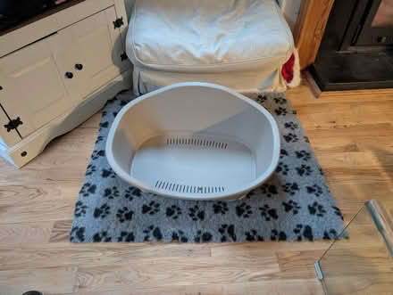 Photo of free Dog bed ( small dog) (Bray) #1