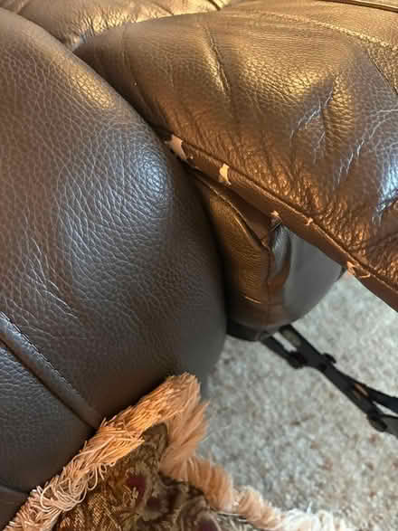Photo of free Leather Recliner Couch (Kings Ridge In Clermont) #4