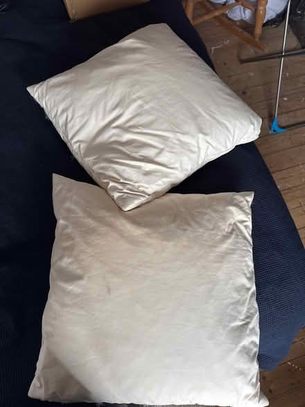 Photo of free Two cushions - no covers - square (Warners End HP1) #1