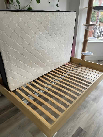 Photo of free Bed frame & mattress (Wood Green N22) #1