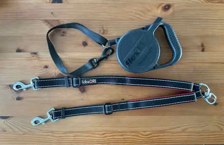Photo of free Dog Flexi and double leash (Alameda) #1