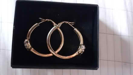 Photo of free Pair of costume earrings (Heaton) #1