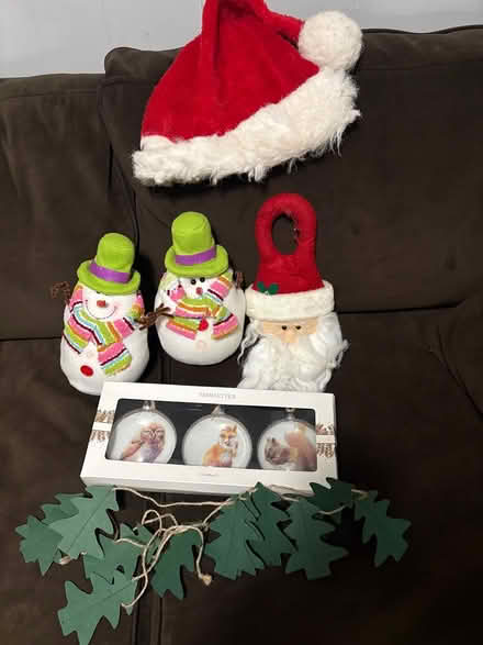 Photo of free Christmas decorations (South Evanston) #1