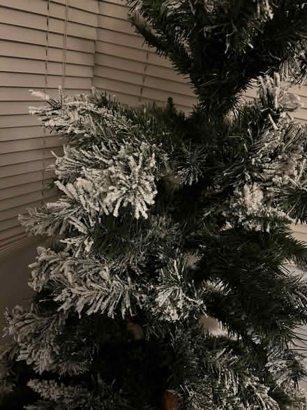 Photo of free 6ft 6in artificial tree (Stockwell SW9) #2