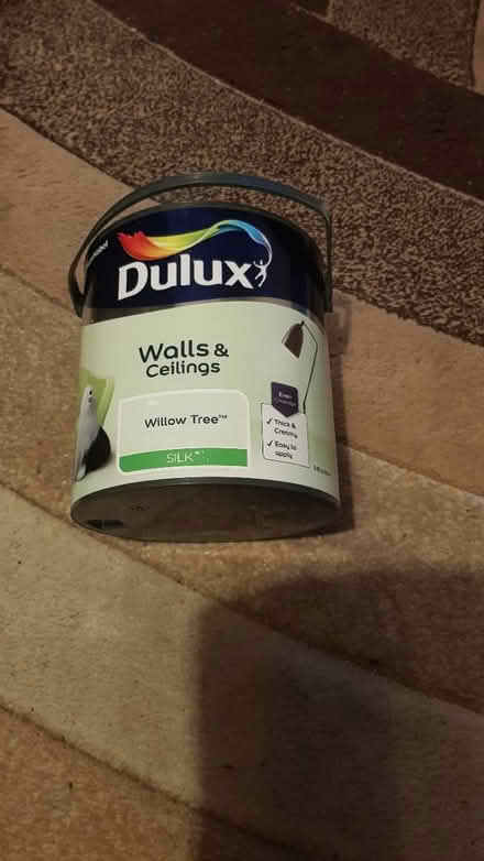 Photo of free Paint (Camberwell) #1