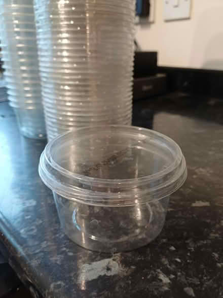 Photo of free Empty plastic houmous tubs with lids (Northcourt OX14) #1