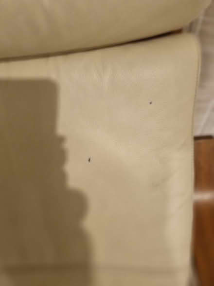 Photo of free Beige/cream leather Poang chair cover. (Kippington TN13) #4