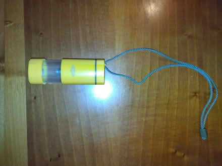 Photo of free Torch (Frenchay BS16) #1