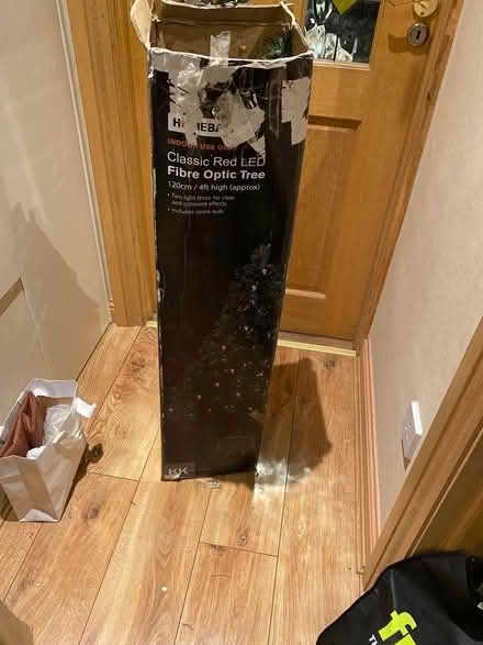 Photo of free Green fibre optic Christmas tree (Sandyford) #1