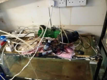 Photo of free "fish tanks & accessories" (Loughton & Woodford IG10) #3