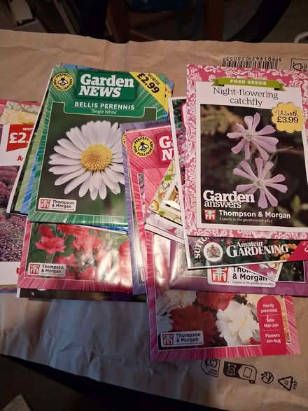 Photo of free Packets of seeds (Dursley GL11) #1