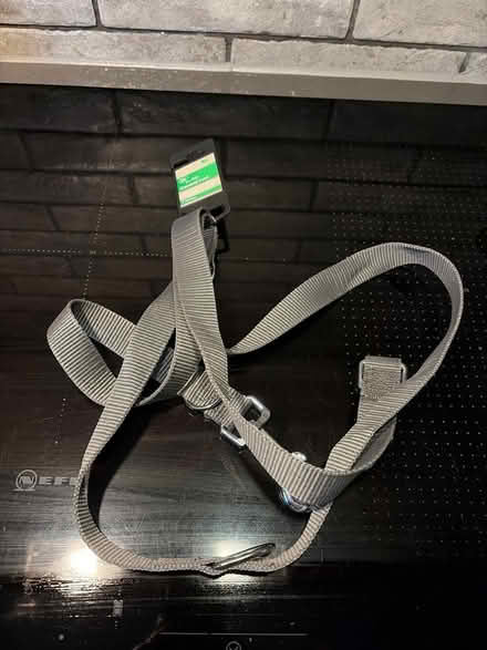 Photo of free 2m Double ended dog lead (Tilehurst RG30) #1