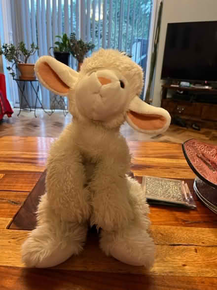 Photo of free Various soft toys (Ashton CH3) #2