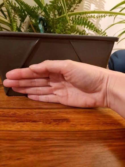 Photo of free Bread/baking tin (Sible Hedingham CO9) #3