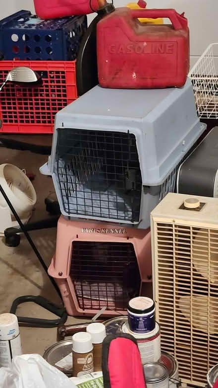 Photo of free Cat(pet) carriers (West Springfield) #1