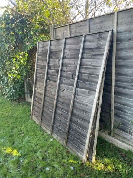 Photo of free 2 Fence Panels (Waterlooville) #1