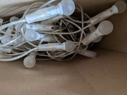 Photo of free Frosted berry lights (Knowle BS4) #3