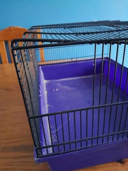 Photo of free Small cage, incomplete (Smiths Estate OX28) #3