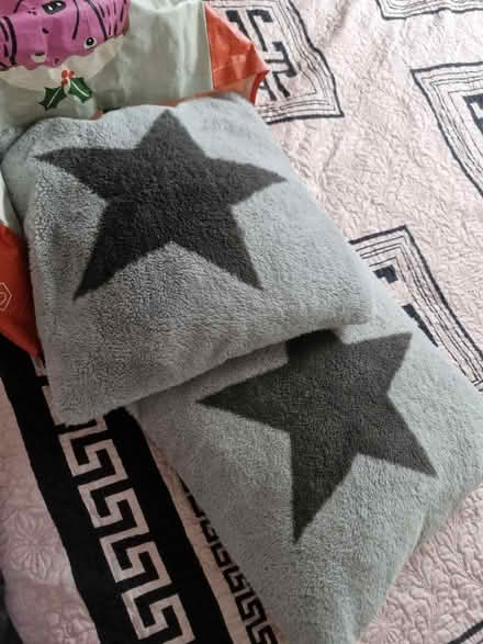 Photo of free Cushions (Hanworth RG12) #1