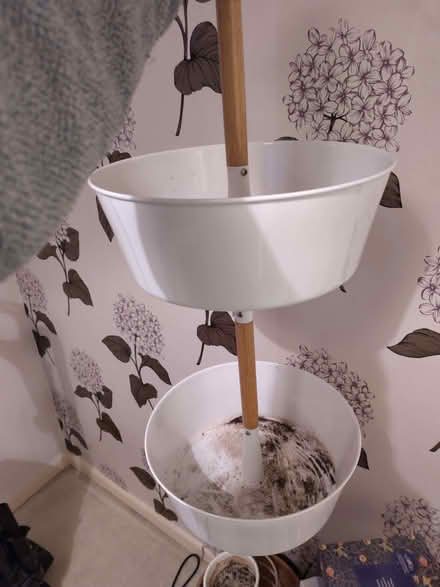 Photo of free Hanging plant holder (Leeds LS13) #2