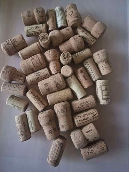 Photo of free Assorted Corks (Hackleton) #1
