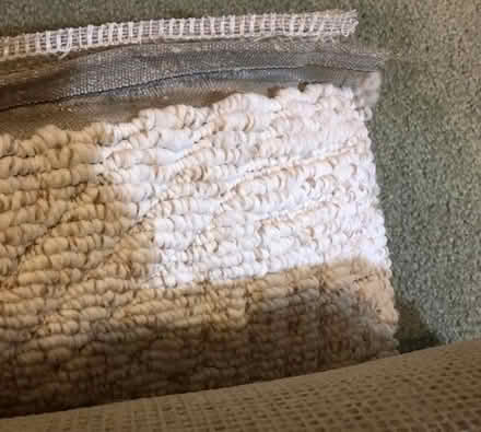 Photo of free low pile carpet 7.5 ft by ? [20886] #1