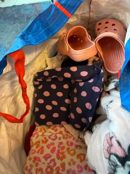 Photo of free Girls clothes aged 4-5yrars (Twigworth) #1