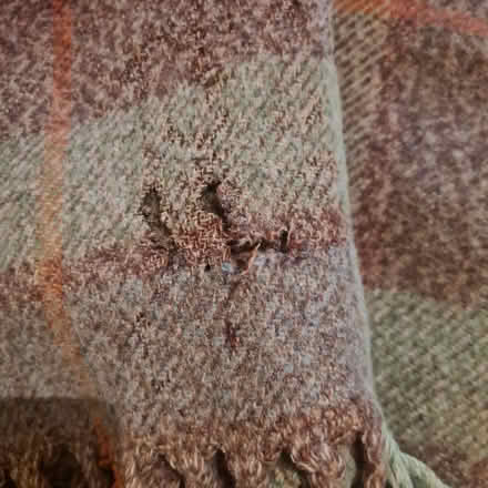 Photo of free Vintage Wool Blanket (TW7) #4
