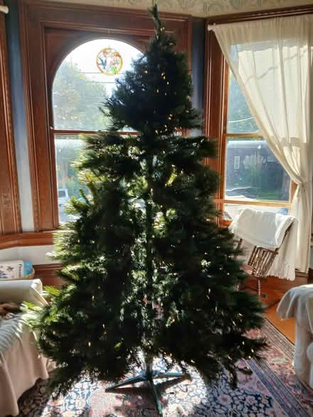 Photo of free Pre-lit tree, 7.5 ft (West End, Near Maya Lin) #3