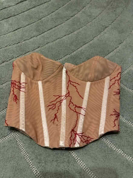 Photo of free Sheer Mesh Corset Top (Hoxton E2) #1