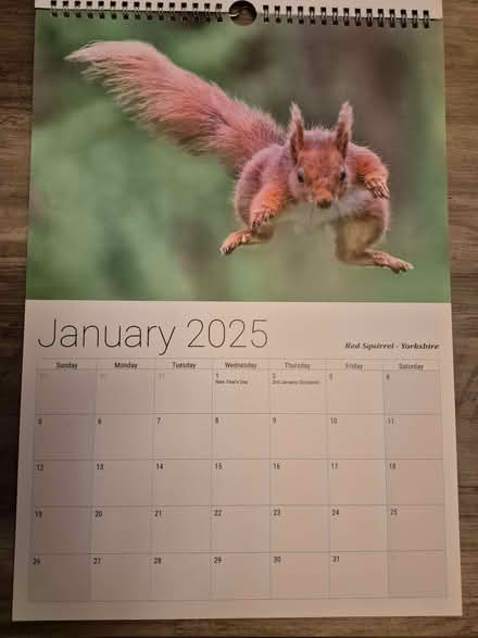 Photo of free Nature pictures from 2025 calendar (Wokingham RG40) #3