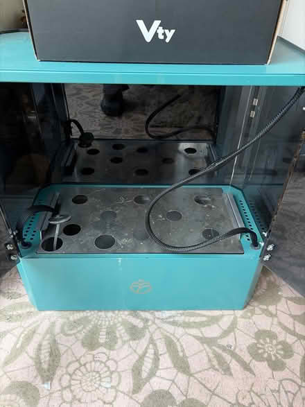 Photo of free Plaant herb growing (W8) #4