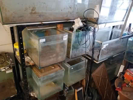 Photo of free "fish tanks & accessories" (Loughton & Woodford IG10) #2