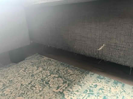 Photo of free L shaped sofa (West Norwood SE27) #3