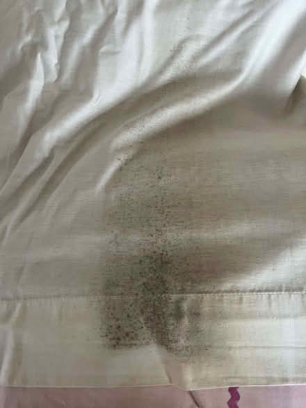 Photo of free Curtains- pencil pleat. (Bradway S17) #2