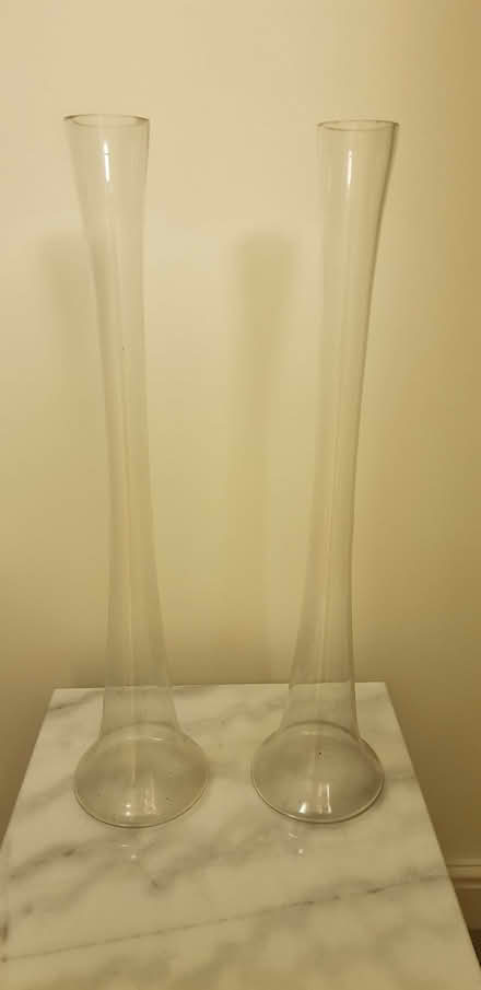 Photo of free Lily Vases (Lightpill GL5) #1